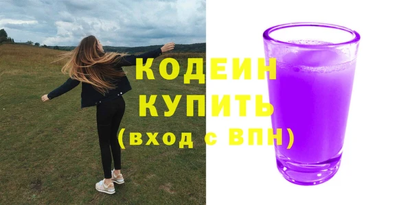 прущие грибы Балабаново
