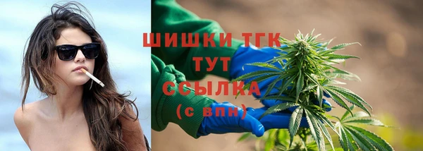 прущие грибы Балабаново