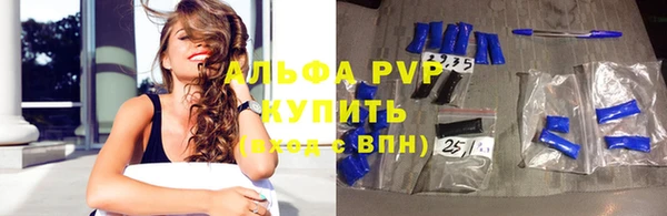 прущие грибы Балабаново