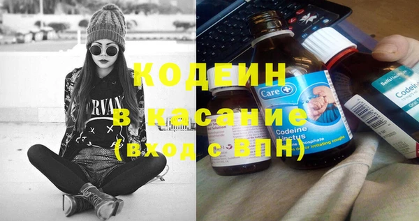 прущие грибы Балабаново