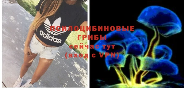 прущие грибы Балабаново