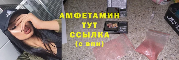 сатива Белокуриха